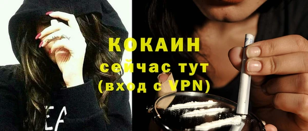 spice Новозыбков