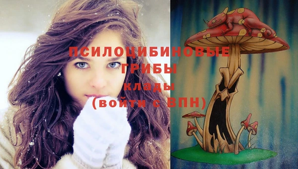 каннабис Новодвинск