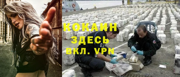 spice Новозыбков