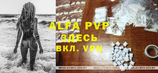 гидра Нея