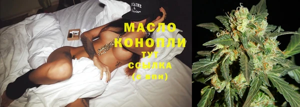 spice Новозыбков