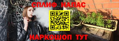 гидра Апрелевка