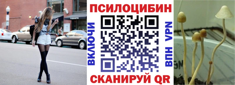 Псилоцибиновые грибы GOLDEN TEACHER  купить наркоту  Муравленко 