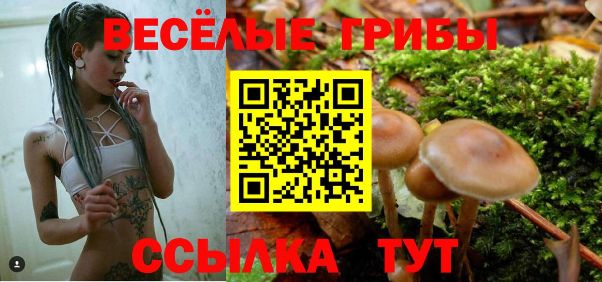 Псилоцибиновые грибы мухоморы Муравленко