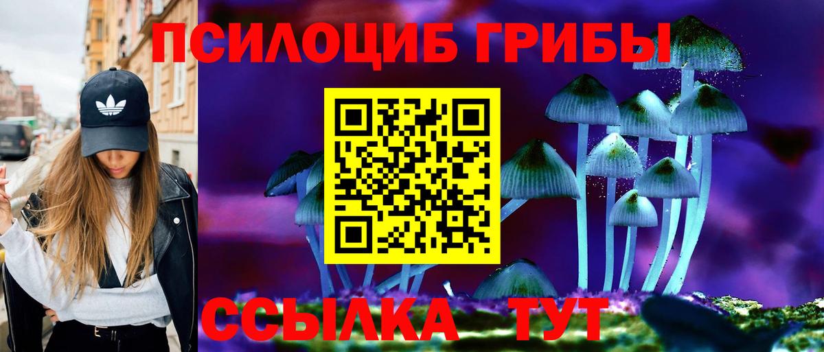 купить наркоту  Вход с VPN  Муравленко  Псилоцибиновые грибы Psilocybine cubensis 