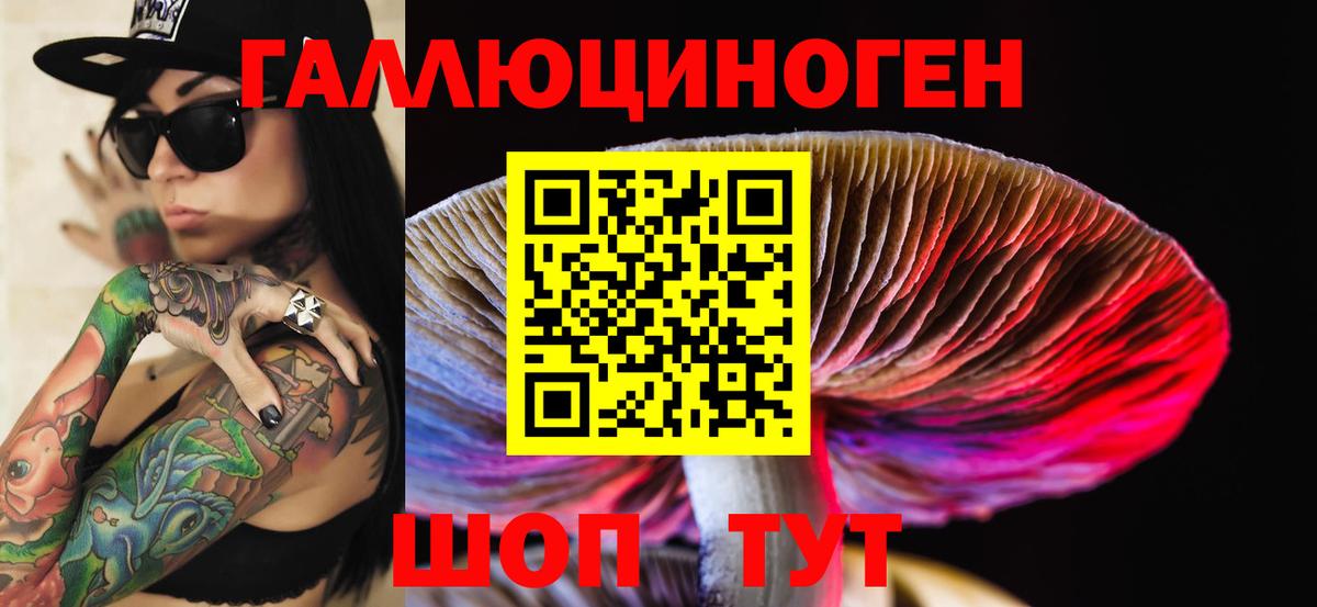 наркошоп  Муравленко  Псилоцибиновые грибы Cubensis  Галлюциногенные грибы GOLDEN TEACHER 