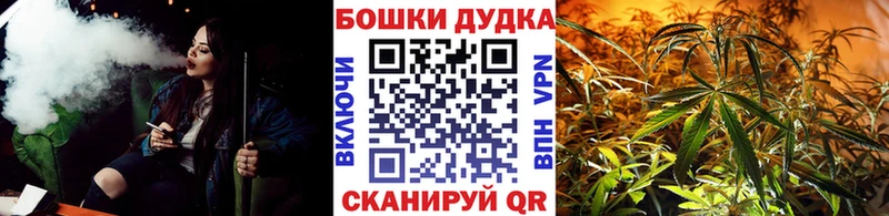 Канабис Bruce Banner  Муравленко 