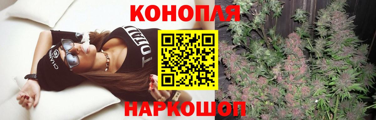 Канабис семена Муравленко